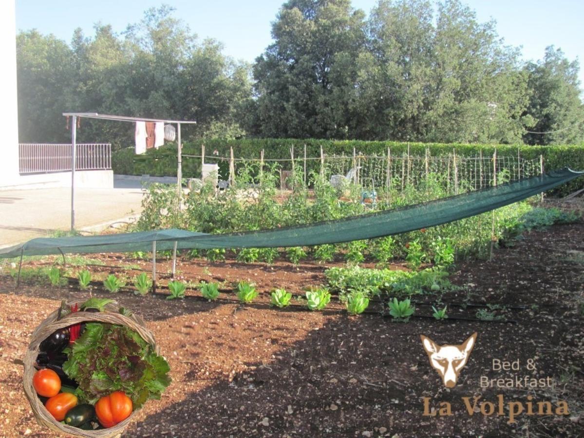 마르티나프란카 La Volpina B&B 외부 사진
